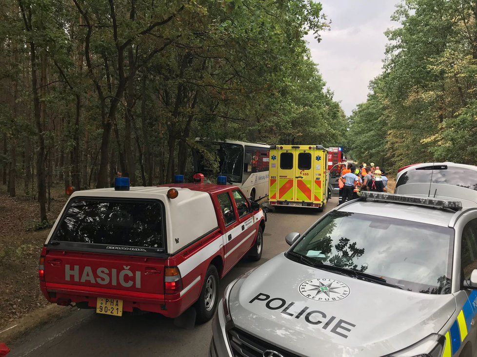 Autobus u Skorkova vyjel ze silnice a narazil do stromu