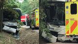 Autobus u Prahy narazil do stromu: Řidič nejspíš zkolaboval za volantem! 