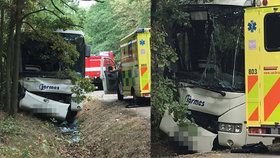 Autobus u Skorkova vyjel ze silnice a narazil do stromu