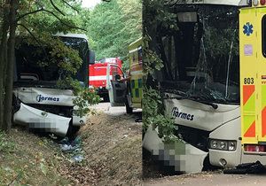 Autobus u Skorkova vyjel ze silnice a narazil do stromu