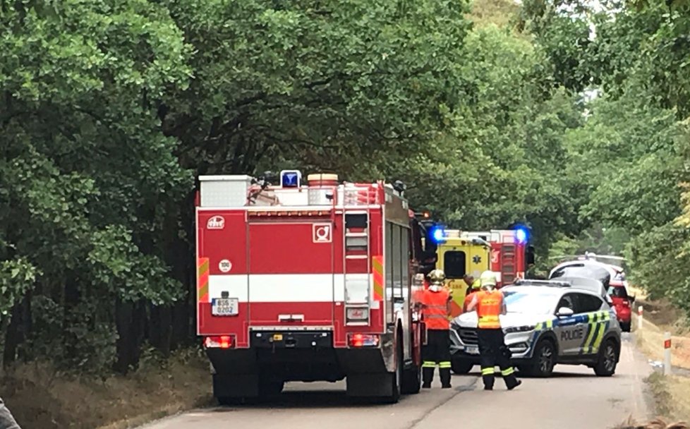 Autobus u Skorkova vyjel ze silnice a narazil do stromu