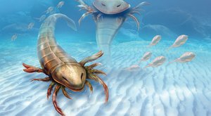 Pravěká potvora: Nejstarší mořský mega škorpion