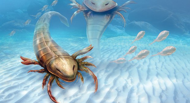 Pravěká potvora: Nejstarší mořský mega škorpion