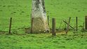 Mainland birsay menhir