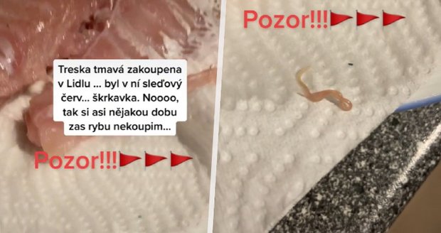 Veroniku vyděsil parazit v čerstvé koupené rybě: Škrkavka v tresce ze supermarketu!