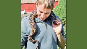 O hada pečují v záchranné stanici ve Voticích