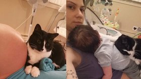 Kočka hlídala miminko po celou dobu těhotenství a pokračuje i po porodu
