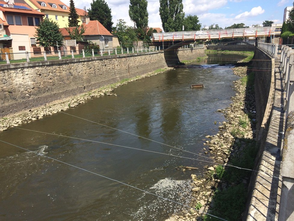 Běžný stav řeky Moravy ve Veselí nad Moravou.