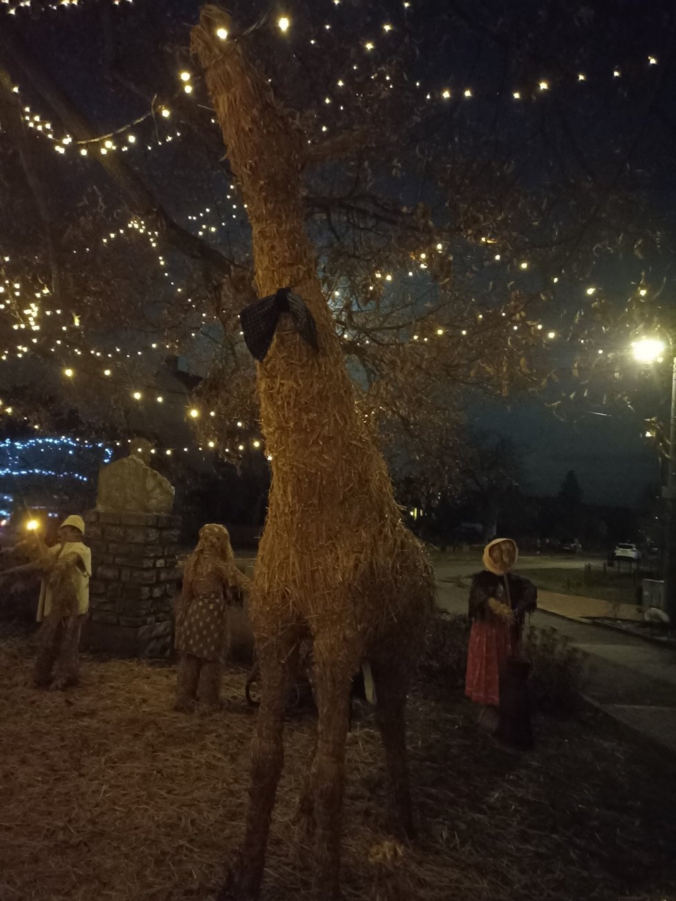 Výroba jednotlivý figur není jednoduchá. Takhle se povedla tři metry vysoká žirafa.