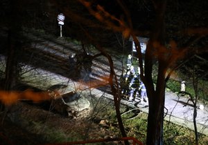 Ve shořelém autě v Třebenicích u Slapské přehrady byla nalezena uhořelá osoba.