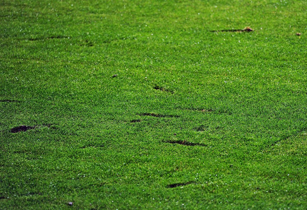 Nový trávník položený kvůli Superpoháru Slavii štěstí nepřinesl, domácí schytali od Teplic debakl 0:7