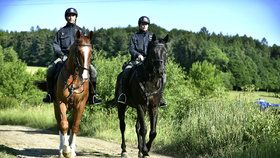 Pátrání v Slavičíně po uprchlých lupičích ze Slovenska