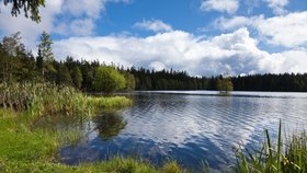 Slavkovský les zaujme nejen kůží hada, ale i skoky ze skály