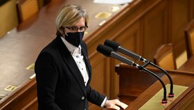 Šlechtová se chce vdávat, Okamura hrozí skokem z okna: Sněmovna dala šanci sňatkům homosexuálů