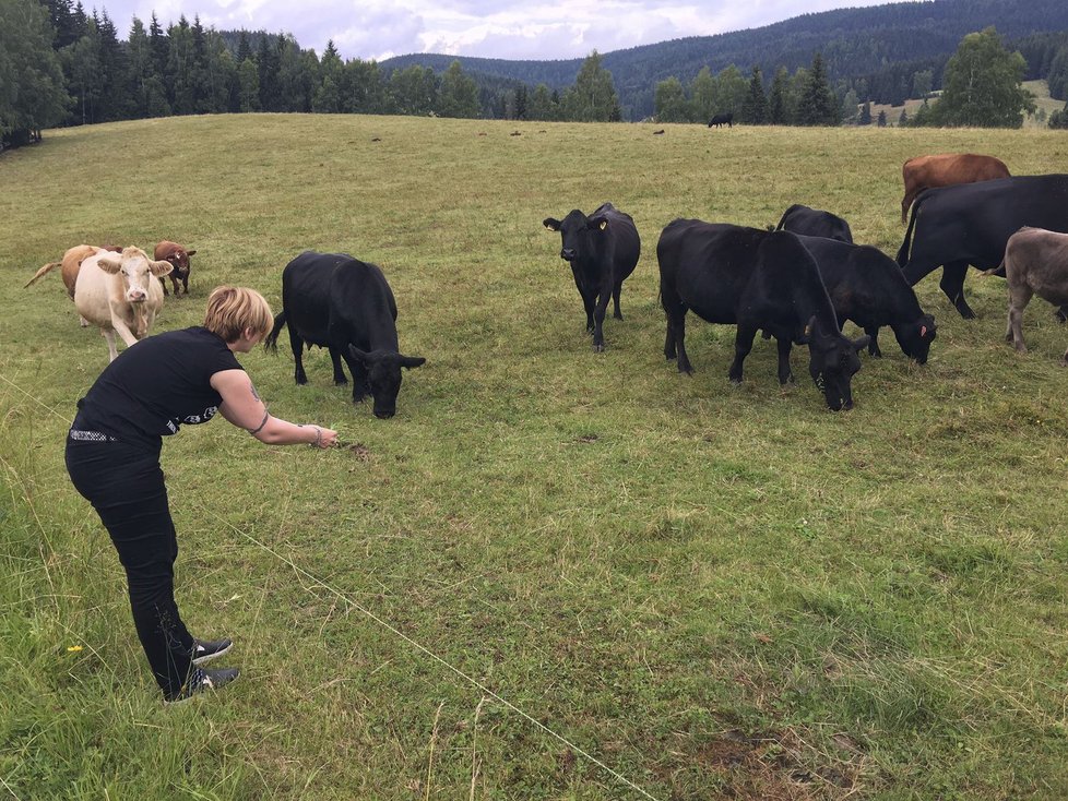 Ministryně Karla Šlechtová a krávy