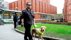Muslimský taxikář odmítl odvézt slepce a jeho psa: Vyvázl s pokutou