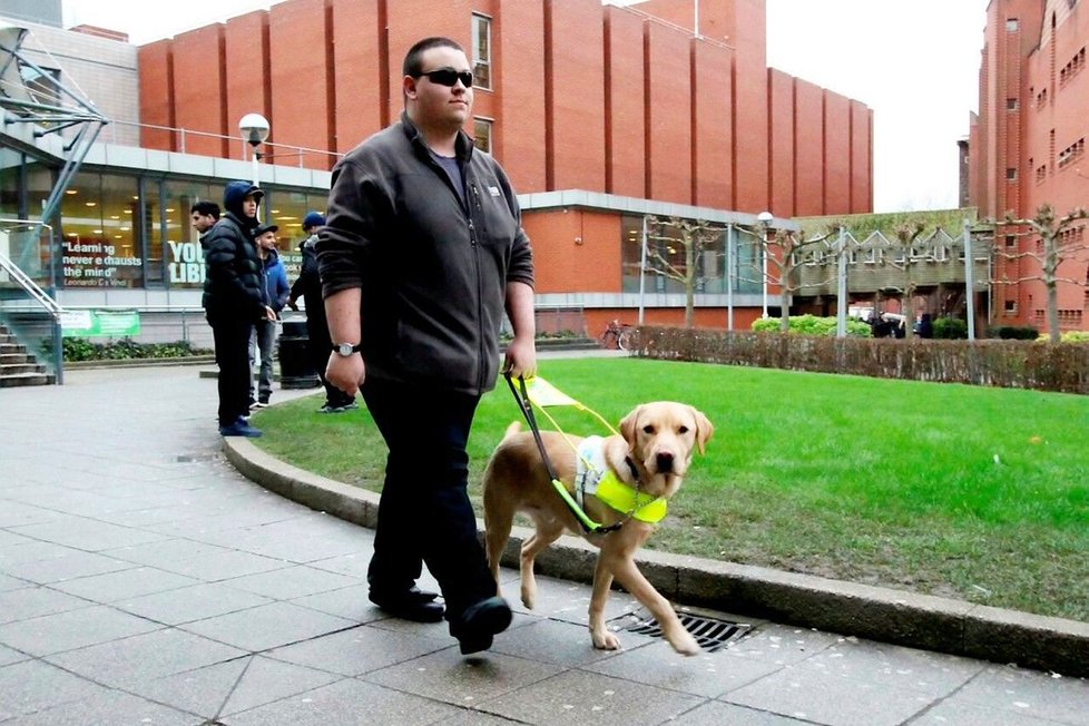 Muslimský taxikář dostal pokutu: Odmítl odvézt slepce a jeho psa, protože psi jsou proti jeho „náboženskému přesvědčení“.