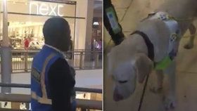 Ochranka vykázala z obchodního centra nevidomého muže, protože měl s sebou slepeckého psa.