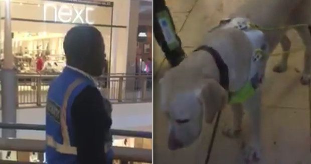 Ochranka vyhodila nevidomého ze supermarketu: Měl s sebou totiž slepeckého psa!