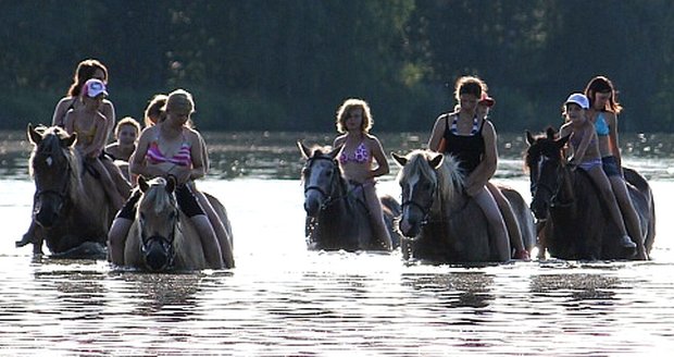 Na letním táboře s koňmi si děti vyzkouší také jejich plavení