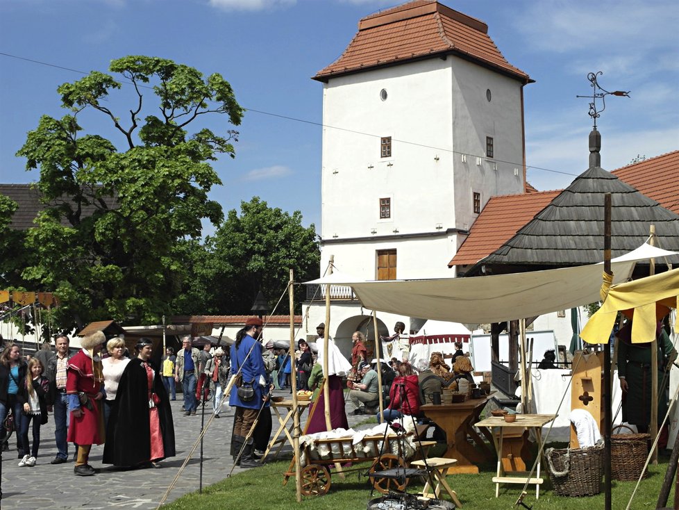 Slezskoostravský hrad