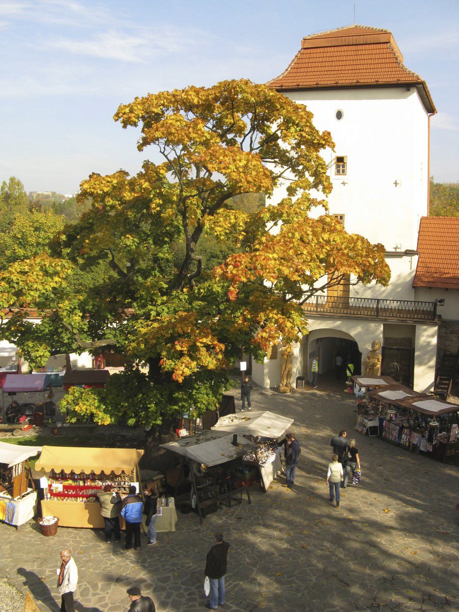 Slezskoostravský hrad