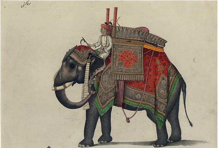 Poháněč (řidič) seděl slonovi v podstatě za krkem
