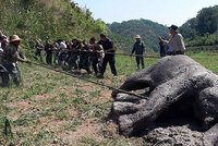 To zahřeje u srdce: Vesničané vlastními silami zachránili slona před jistou smrtí