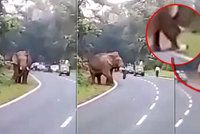 Děsivé video: Muž se chtěl vyfotit se slonem, skončil ušlapaný!