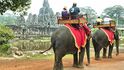 Domestikovaní sloni v Kambodži