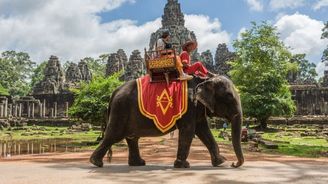 Kambodža zakáže jízdu na slonech v turistickém ráji. Za oblíbenou atrakcí se skrývá nebetyčné utrpení