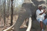 Němec zabil jednoho z největších slonů celé Afriky.