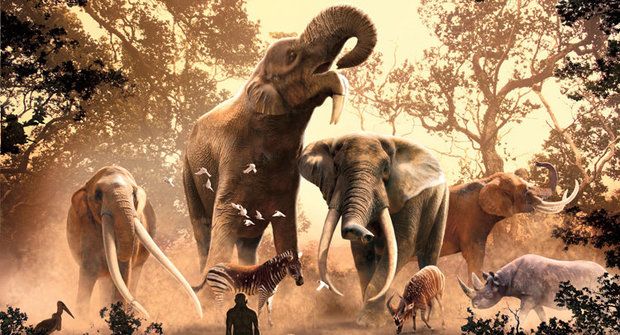 Poslední sloni z pravěku: Vzestup a pád pravěkých chobotnatců