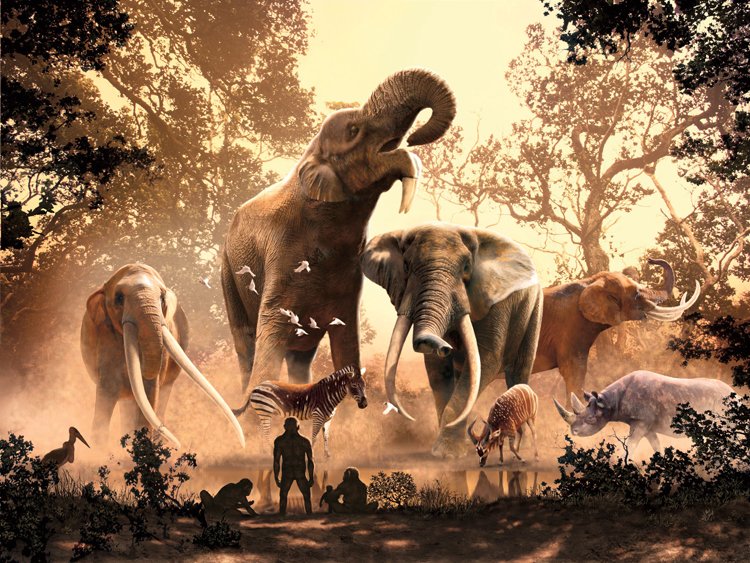 Pravěcí sloni jsou majestátní rodinou býložravců