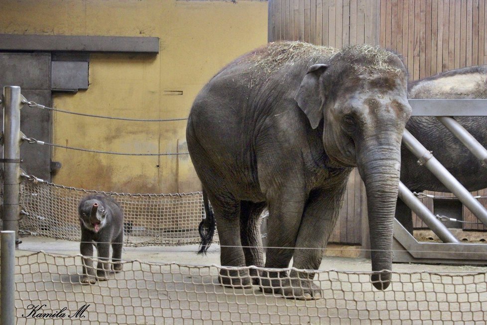 Zoologická zahrada Ostrava