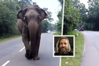 Adrenalinový zážitek českého turisty na Srí Lance: Miroslava pronásledoval rozzuřený slon!