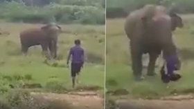 Slon muže ušlapal k smrti.