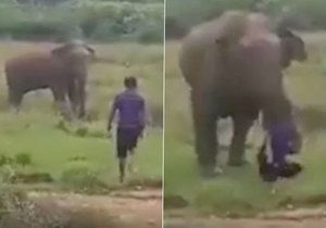 Slon muže ušlapal k smrti.