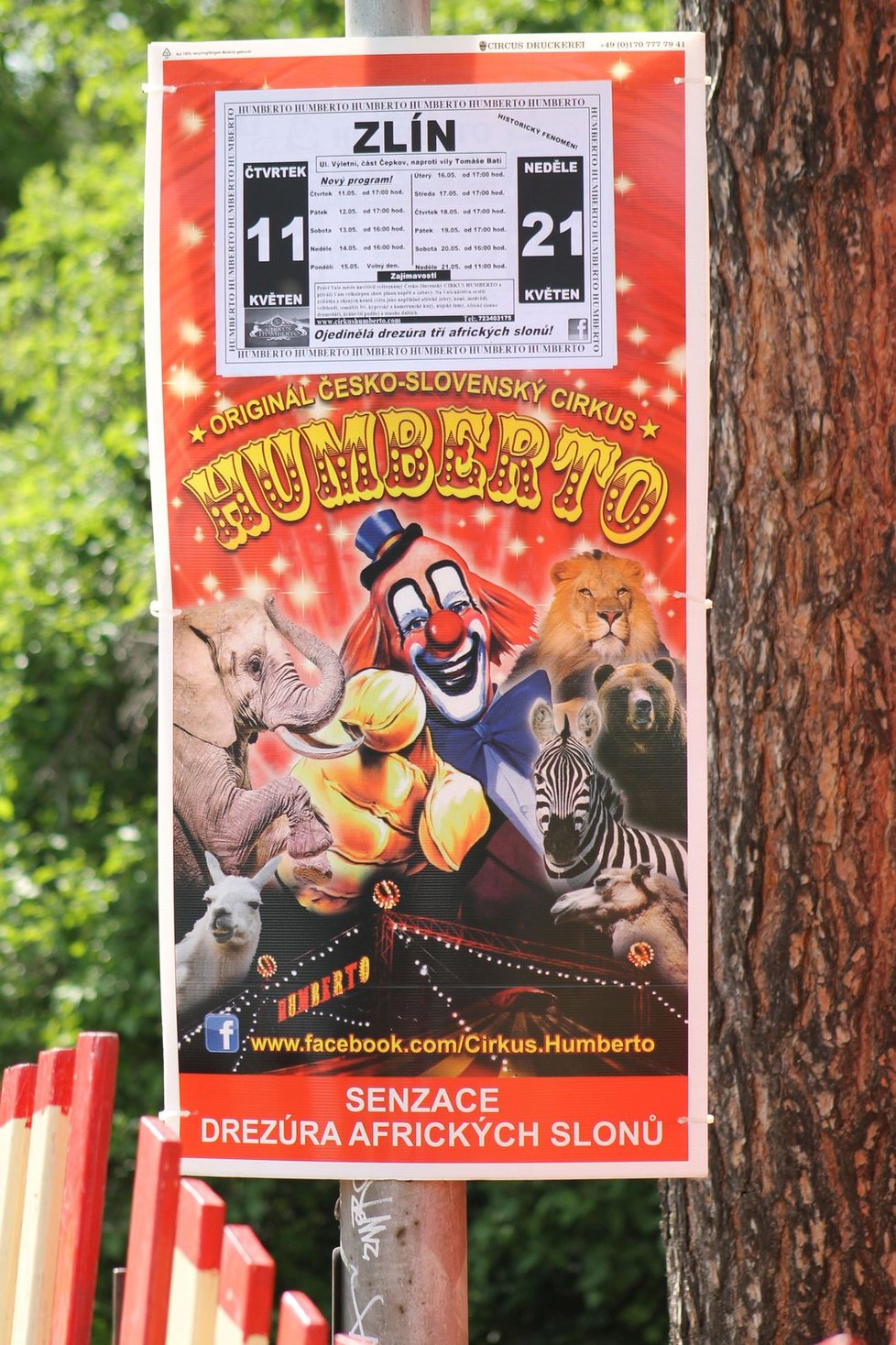 Plakát cirkusu Humberto