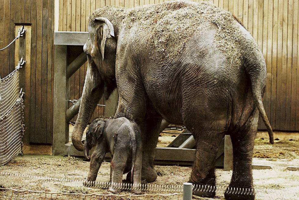 Zoologická zahrada Ostrava