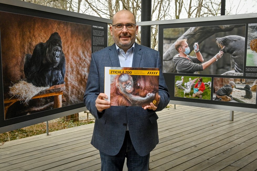 Slonice Lakuna oslavila v pražské zoo svoje první narozeniny