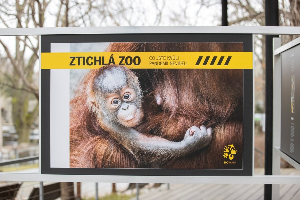 Zahrada kromě narozeninové oslavy představila novou knihu Ztichlá zoo.