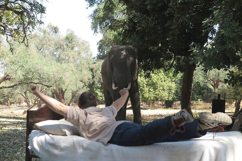 Sloní safari je v Zimbabwe mezi turisty oblíbené. Nyní při něm však došlo k tragédii.