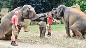 Slonice i s malým Maxem zapózovali fotografovi Blesku.