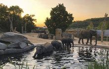 Zoo Praha zavedla novinku: Sloni přetroubili i vytí vlků!