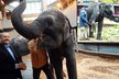 Ředitel pražské zoo Miroslav Bobek je z obou slonic nesmírně nadšený