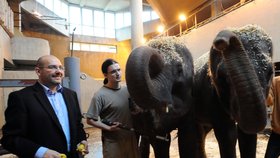 Ředitel zoo Miroslav Bobek se slonicemi Tamarou a Janitou, které se do Prahy přestěhovaly ze Srí Lanky.