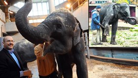 Ředitel pražské zoo Miroslav Bobek je z obou slonic nesmírně nadšený