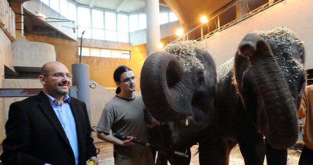 Ředitel zoo Miroslav Bobek se slonicemi Tamarou a Janitou, které se do Prahy přestěhovaly ze Srí Lanky.