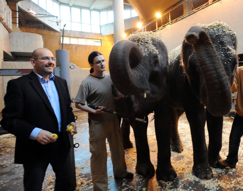 Slonice Tamara (7) a Janita (8), které se do pražské zoo přestěhovaly ze Srí Lanky